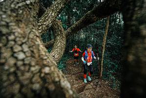 BIB: 
                            <button type="button" onclick="openModal(25704951)" class="btn btn-primary btn-sm float-right btn-popup" data-toggle="modal" data-target=".modal-high-quality">
                        <i class="fas fa-shopping-cart"></i> Add to Cart
                    </button>
                                            <button type="button" onclick="isThisMe(25704951, true)" class="btn btn-success btn-sm float-right btn-popup btn-isme hidden" data-toggle="tooltip" data-placement="bottom" title="นี่คือรูปของคุณใช่ไหม คลิกที่นี่เพื่อเอาเข้าอัลบั้ม">
                        <i class="fas fa-plus"></i> Add to album
                    </button>
                    <button type="button" onclick="isThisMe(25704951, false)" class="btn btn-warning btn-sm float-right btn-popup btn-isnotme hidden">
                        <i class="fas fa-ban"></i> Remove from album
                    </button>